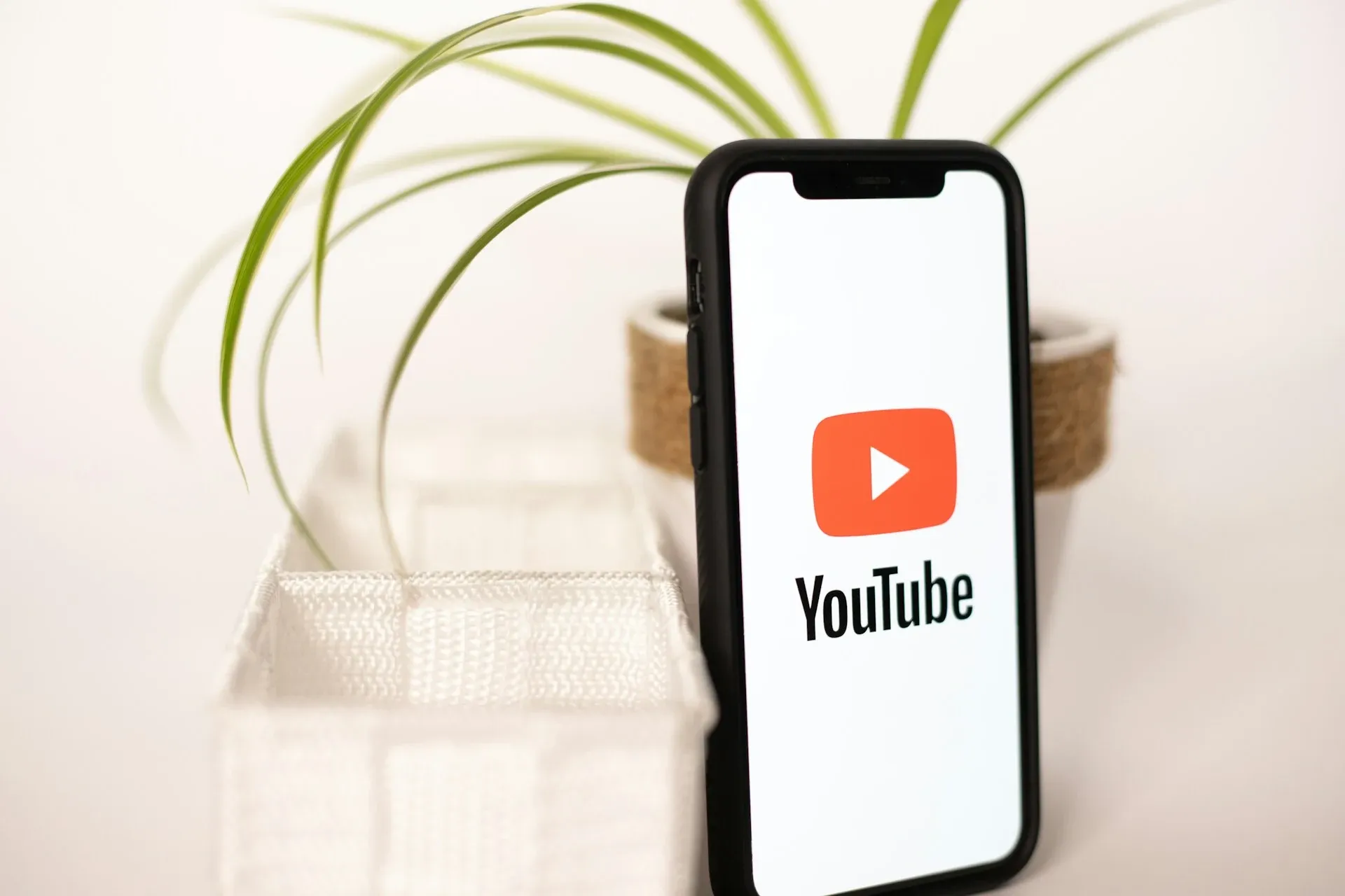 iPhone resting in front of small plant with YouTube loading on screen