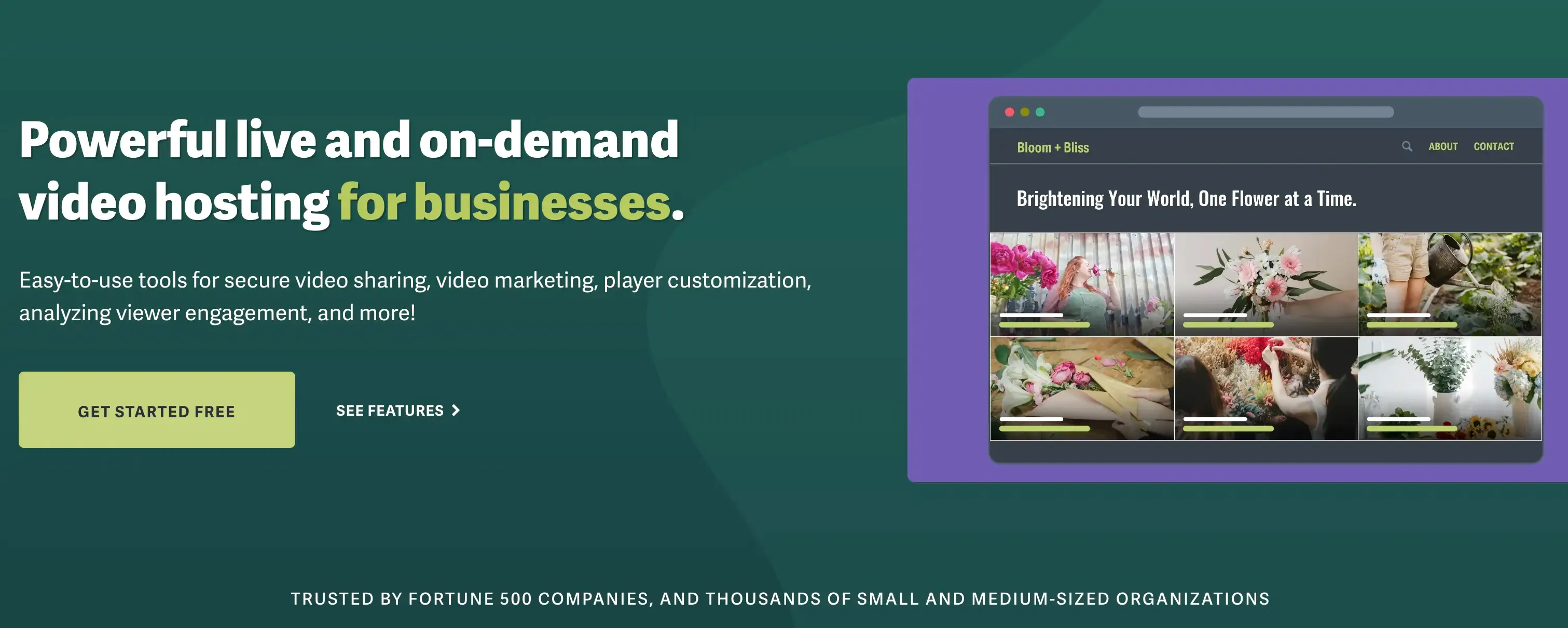 Sproutvideo video hosting website